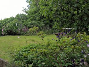 Dyffryn Moor Garden